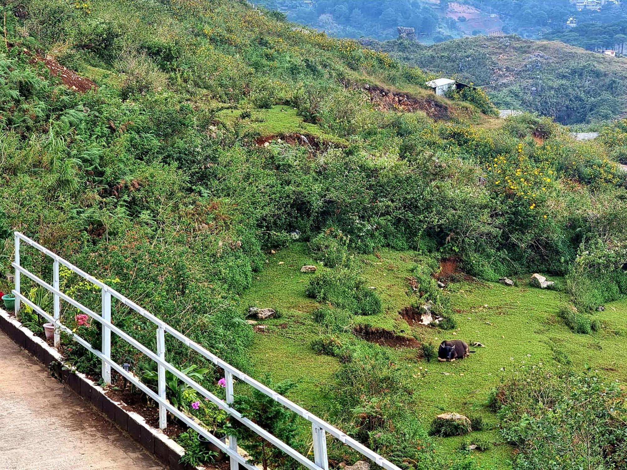Wanay'S Rocky Mountain Homestay Baguio City Eksteriør bilde